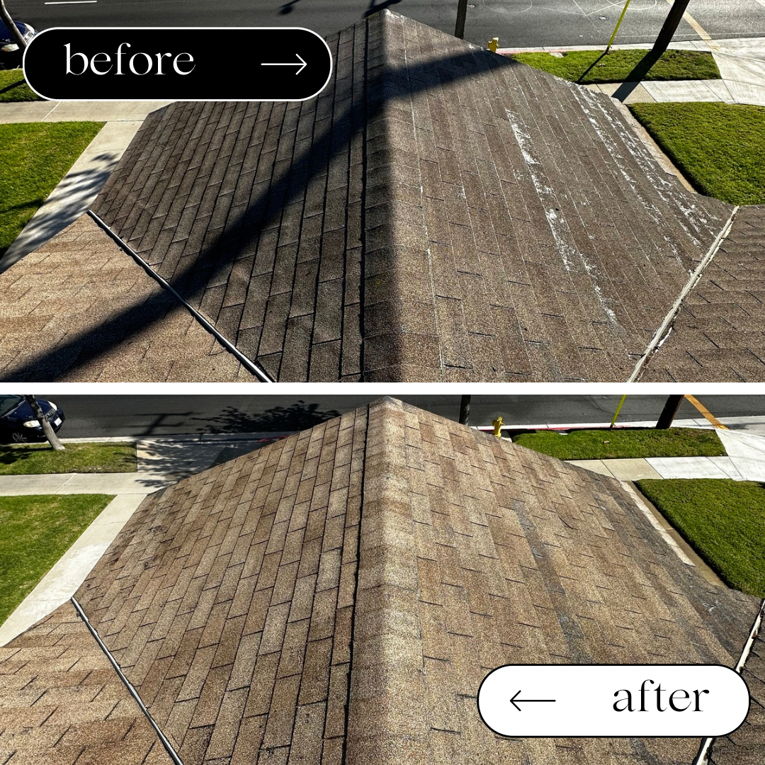 Another Roof Cleaning Project done in Gardena, CA